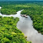 amazon-rainforest-with-kids-7