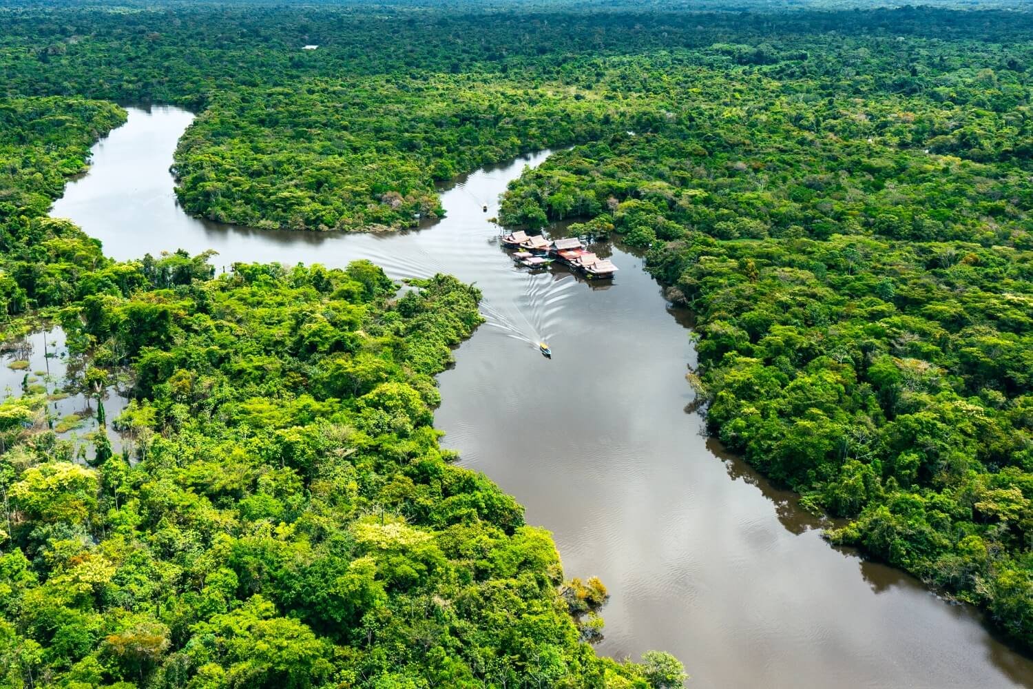 amazon-rainforest-with-kids-7
